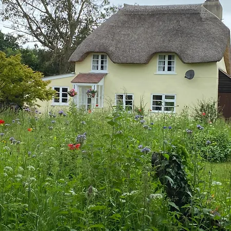Primrose Cottage Moreton  Exterior photo